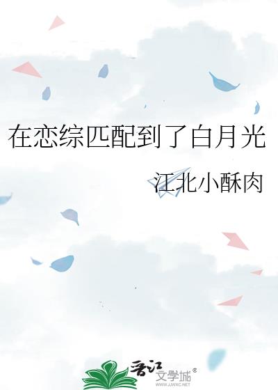 在恋综遇到前任之后